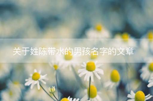 关于姓陈带水的男孩名字的文章