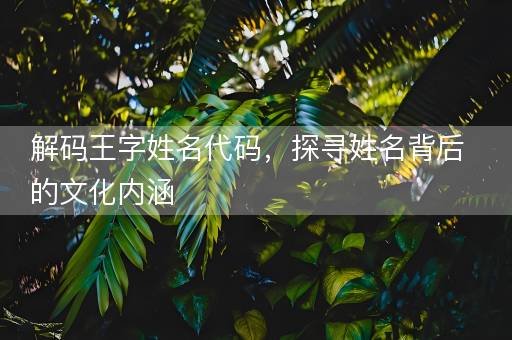 解码王字姓名代码，探寻姓名背后的文化内涵