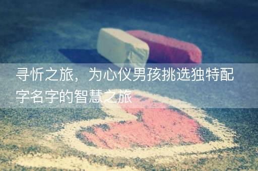 寻忻之旅，为心仪男孩挑选独特配字名字的智慧之旅