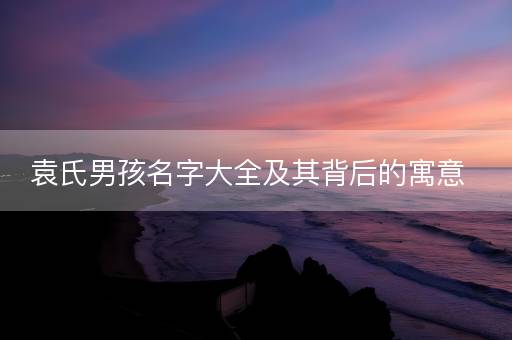 袁氏男孩名字大全及其背后的寓意