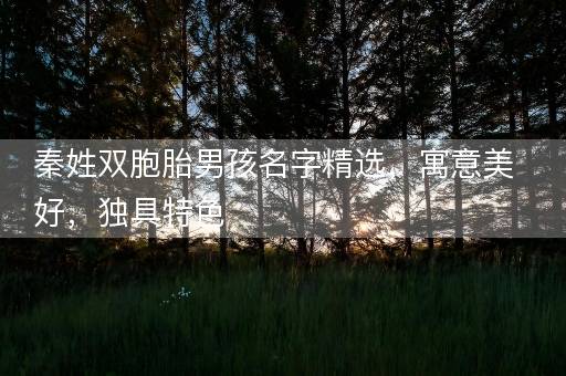 秦姓双胞胎男孩名字精选，寓意美好，独具特色