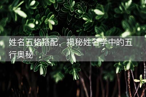 姓名五格搭配，揭秘姓名学中的五行奥秘
