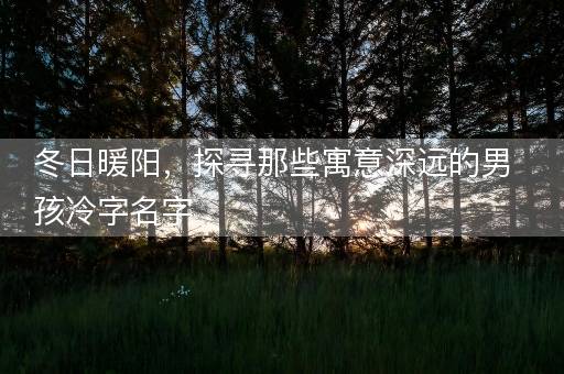 冬日暖阳，探寻那些寓意深远的男孩冷字名字