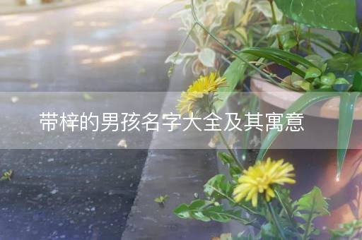 带梓的男孩名字大全及其寓意
