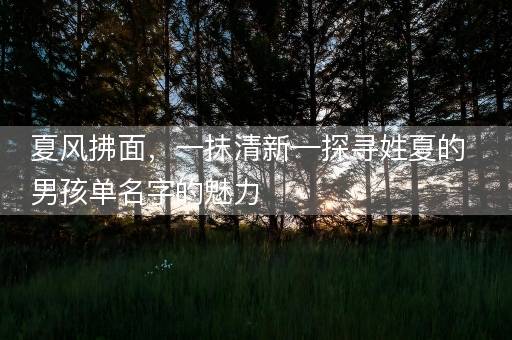 夏风拂面，一抹清新—探寻姓夏的男孩单名字的魅力