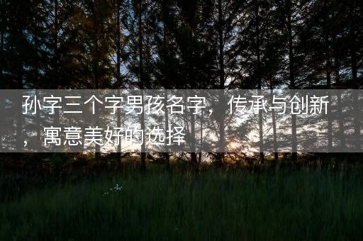孙字三个字男孩名字，传承与创新，寓意美好的选择
