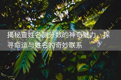 揭秘查姓名测分数的神奇魅力，探寻命运与姓名的奇妙联系