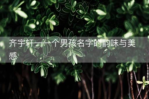 齐宇轩—一个男孩名字的韵味与美感
