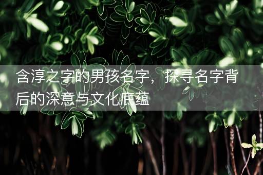 含淳之字的男孩名字，探寻名字背后的深意与文化底蕴