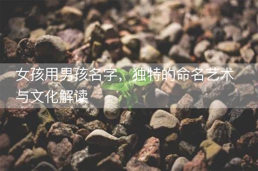 女孩用男孩名字，独特的命名艺术与文化解读