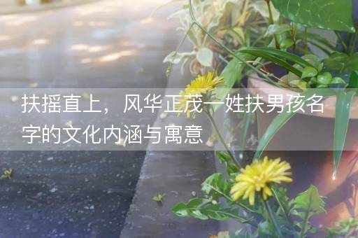 扶摇直上，风华正茂—姓扶男孩名字的文化内涵与寓意