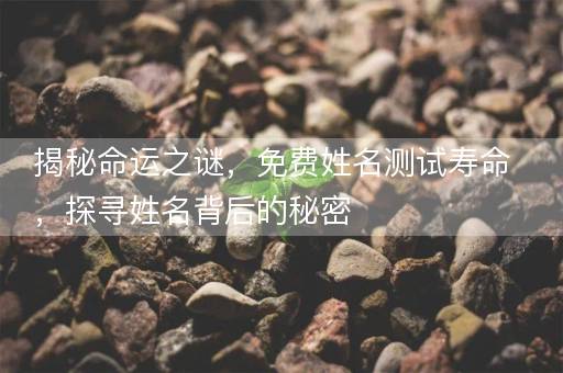 揭秘命运之谜，免费姓名测试寿命，探寻姓名背后的秘密