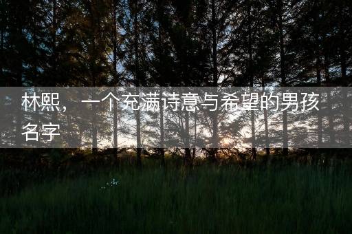 林熙，一个充满诗意与希望的男孩名字