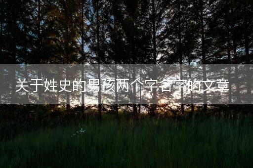关于姓史的男孩两个字名字的文章