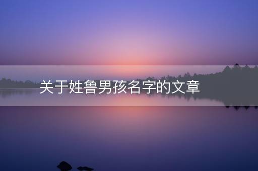 关于姓鲁男孩名字的文章