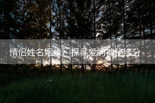 情侣姓名姻缘，探寻爱的神秘缘分