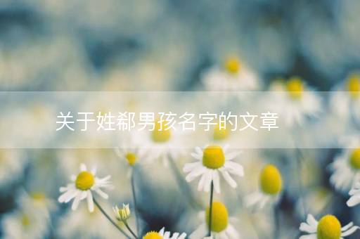 关于姓郗男孩名字的文章