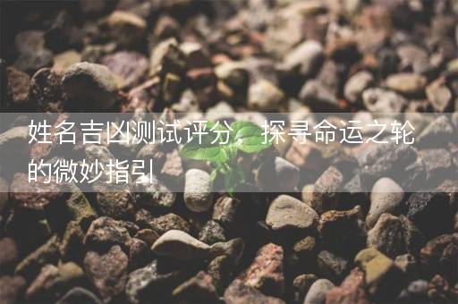 姓名吉凶测试评分，探寻命运之轮的微妙指引