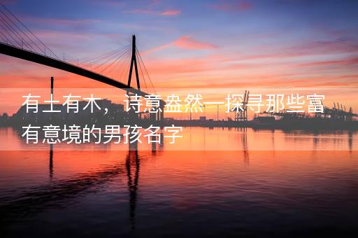 有土有木，诗意盎然—探寻那些富有意境的男孩名字
