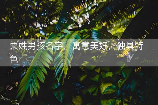 栗姓男孩名字，寓意美好，独具特色