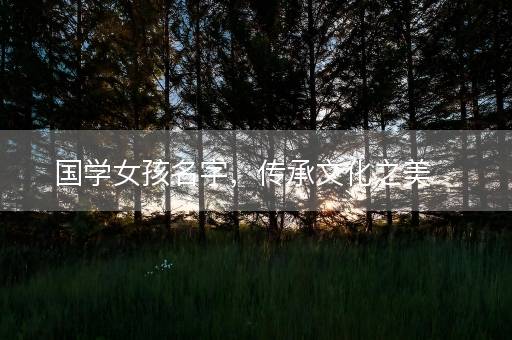 国学女孩名字，传承文化之美