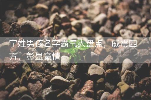 宁姓男孩名字霸气大盘点，威震四方，彰显豪情