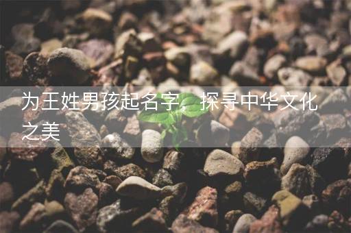 为王姓男孩起名字，探寻中华文化之美