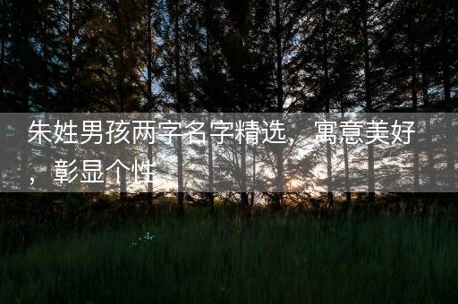 朱姓男孩两字名字精选，寓意美好，彰显个性