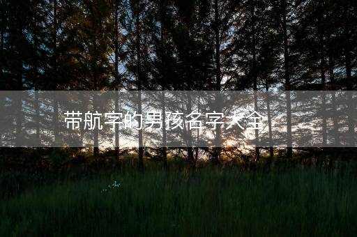 带航字的男孩名字大全