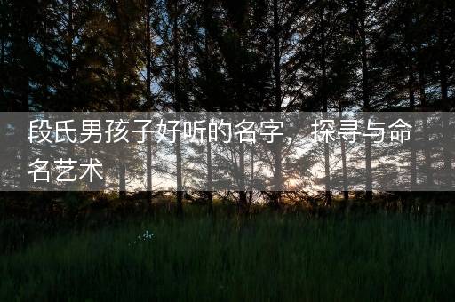 段氏男孩子好听的名字，探寻与命名艺术