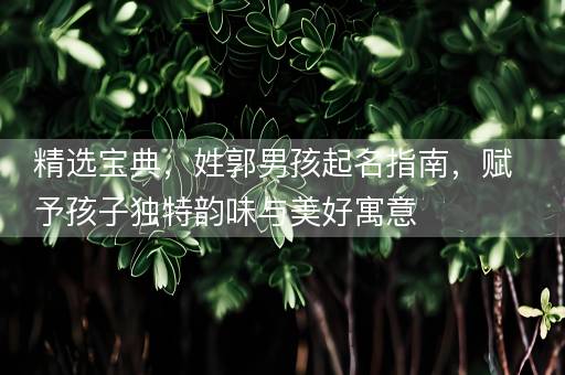 精选宝典，姓郭男孩起名指南，赋予孩子独特韵味与美好寓意