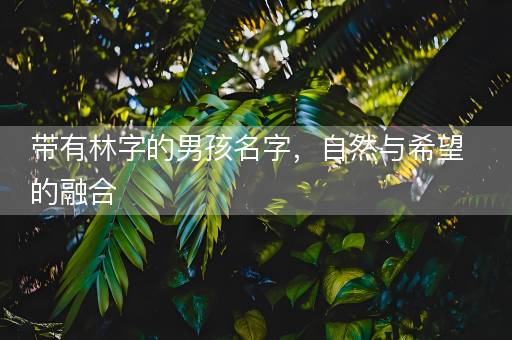 带有林字的男孩名字，自然与希望的融合