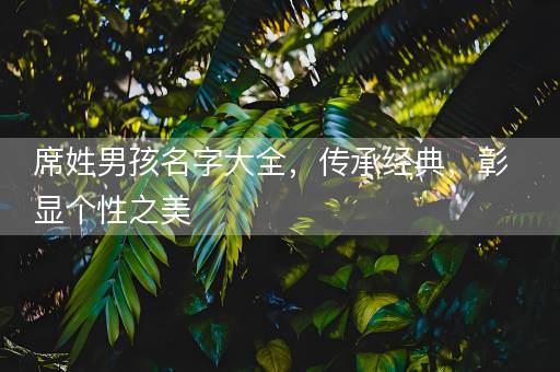 席姓男孩名字大全，传承经典，彰显个性之美