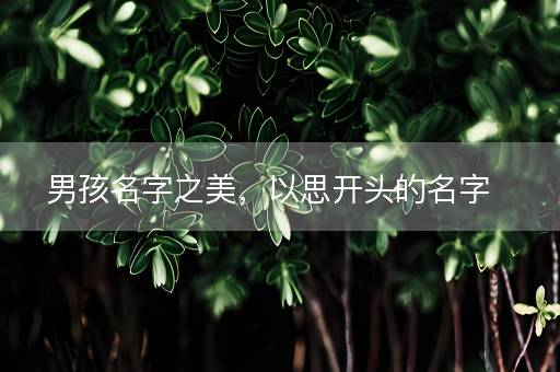 男孩名字之美，以思开头的名字