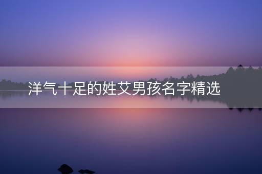 洋气十足的姓艾男孩名字精选