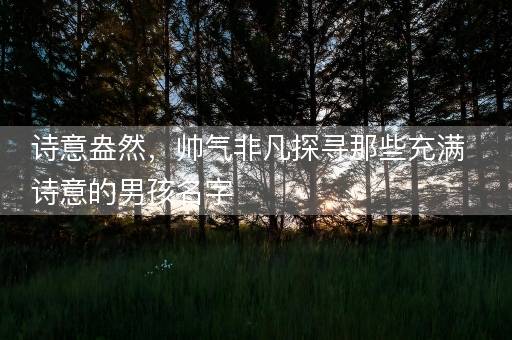 诗意盎然，帅气非凡探寻那些充满诗意的男孩名字