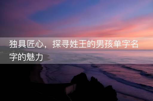 独具匠心，探寻姓王的男孩单字名字的魅力
