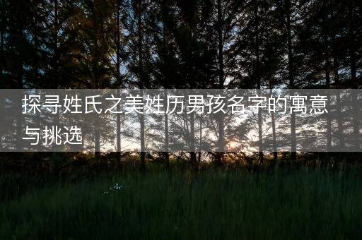 探寻姓氏之美姓历男孩名字的寓意与挑选