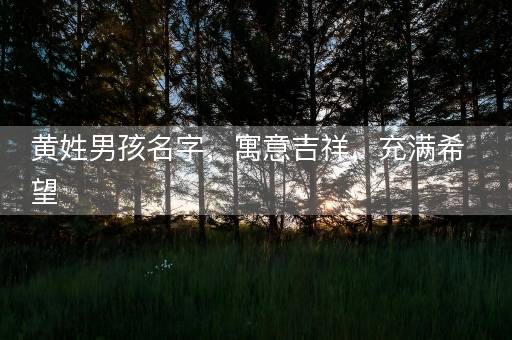 黄姓男孩名字，寓意吉祥，充满希望