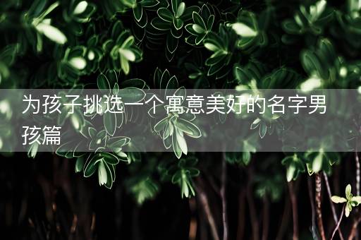 为孩子挑选一个寓意美好的名字男孩篇
