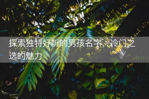 探索独特好听的男孩名字，冷门之选的魅力