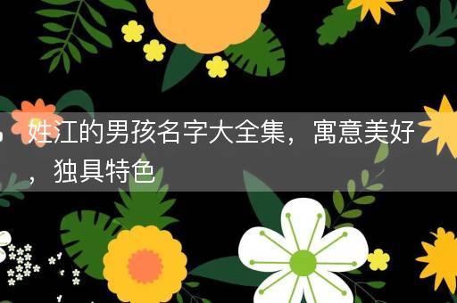 姓江的男孩名字大全集，寓意美好，独具特色