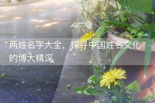两姓名字大全，探寻中国姓名文化的博大精深