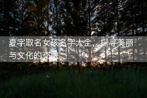 夏字取名女孩名字大全，探寻美丽与文化的交融