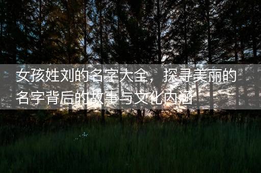 女孩姓刘的名字大全，探寻美丽的名字背后的故事与文化内涵