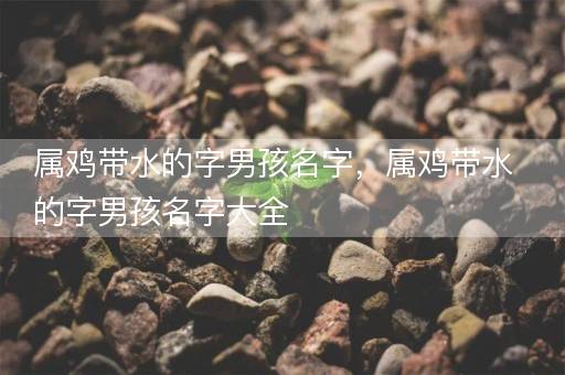 属鸡带水的字男孩名字，属鸡带水的字男孩名字大全