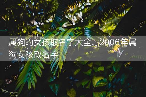 属狗的女孩取名字大全，2006年属狗女孩取名字