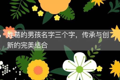 姓葛的男孩名字三个字，传承与创新的完美结合