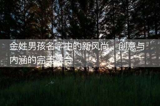 金姓男孩名字中的新风尚，创意与内涵的完美融合