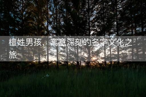 檀姓男孩，寓意深刻的名字文化之旅
